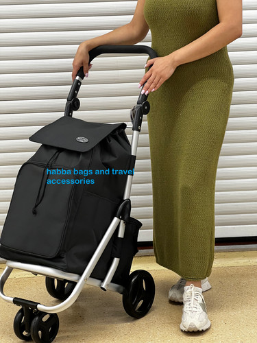 Large wheel shopping trolley - 4,
